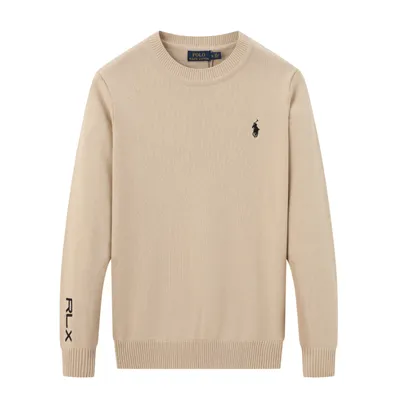 Ralph Lauren Hoodie 6+ colorways [Premium Quality]